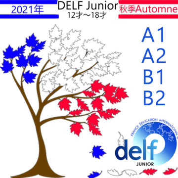 Delf Junior automne 2021の画像